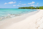 Tropischer Strand - Mauritius