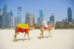 Jumeirah Beach Dubai